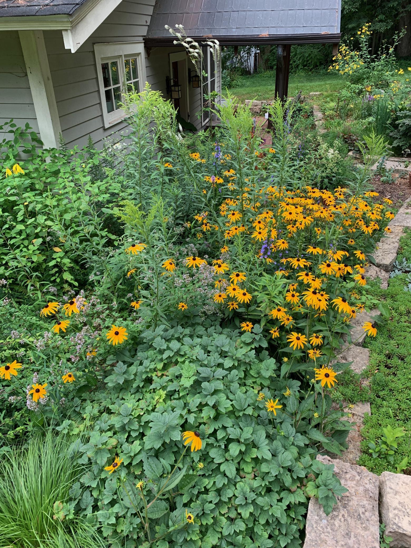 360 3rd Street Marine on St. Croix, MN 55047 - Photo 58 of 65