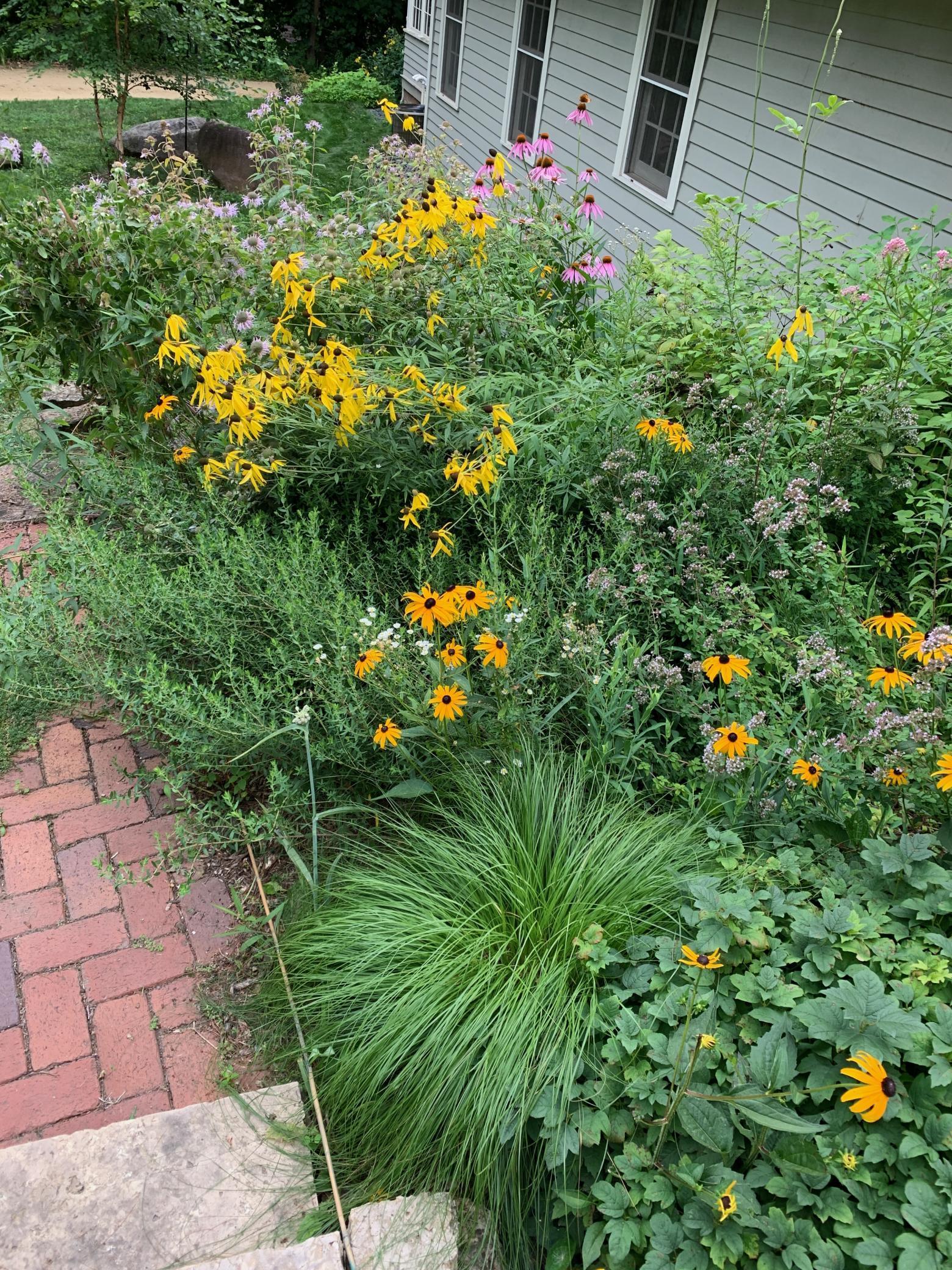 360 3rd Street Marine on St. Croix, MN 55047 - Photo 59 of 65