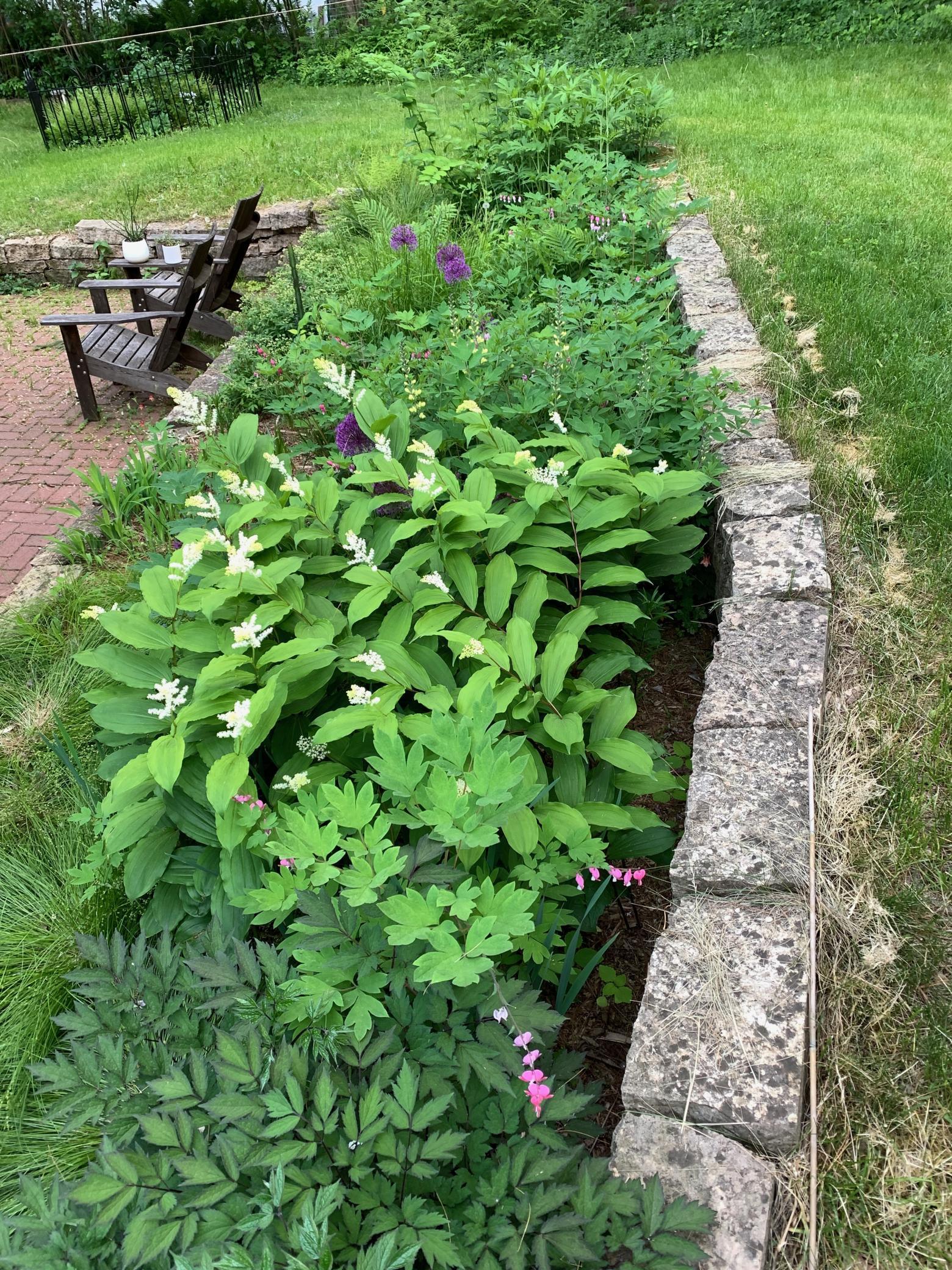 360 3rd Street Marine on St. Croix, MN 55047 - Photo 61 of 65