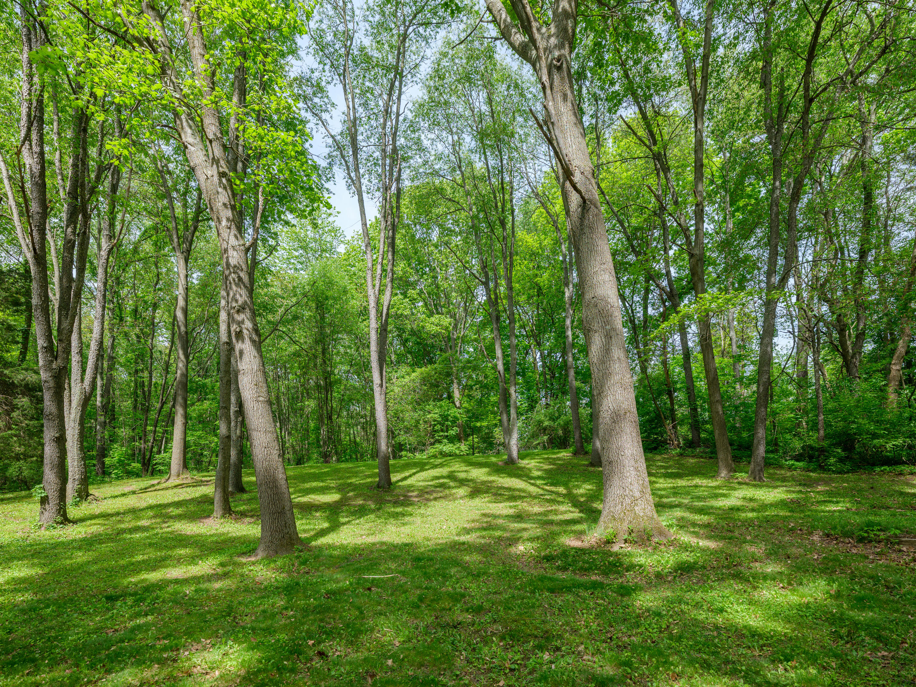 4511 Waldorf Road Delton, MI 49046 - Photo 27 of 30 4511 Wadorf Rd-118