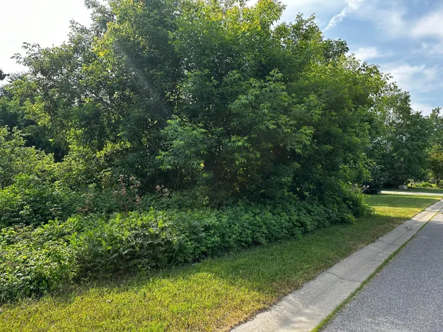 $35,000 | Tbd 6th Avenue Northeast, Grand Rapids, MN 55744