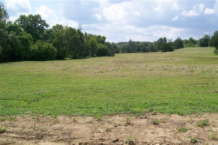 276 Roy Foster Road McMinnville, TN 37110 - Photo 1 of 1 Gallery Image 1