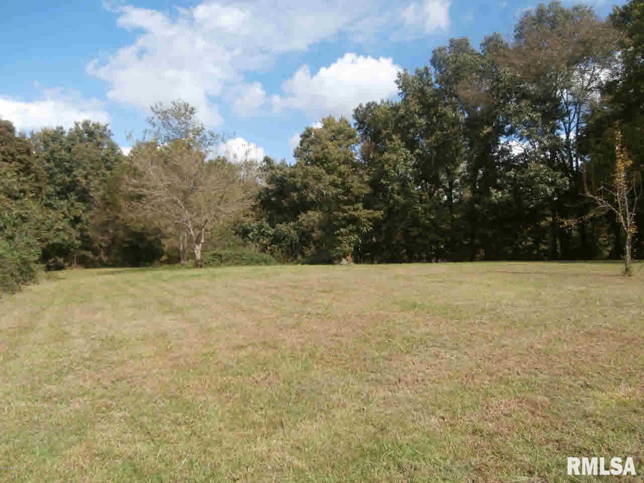 11669 Spowart Road West Frankfort, IL 62896 - Photo 3 of 36 Gallery Image 3