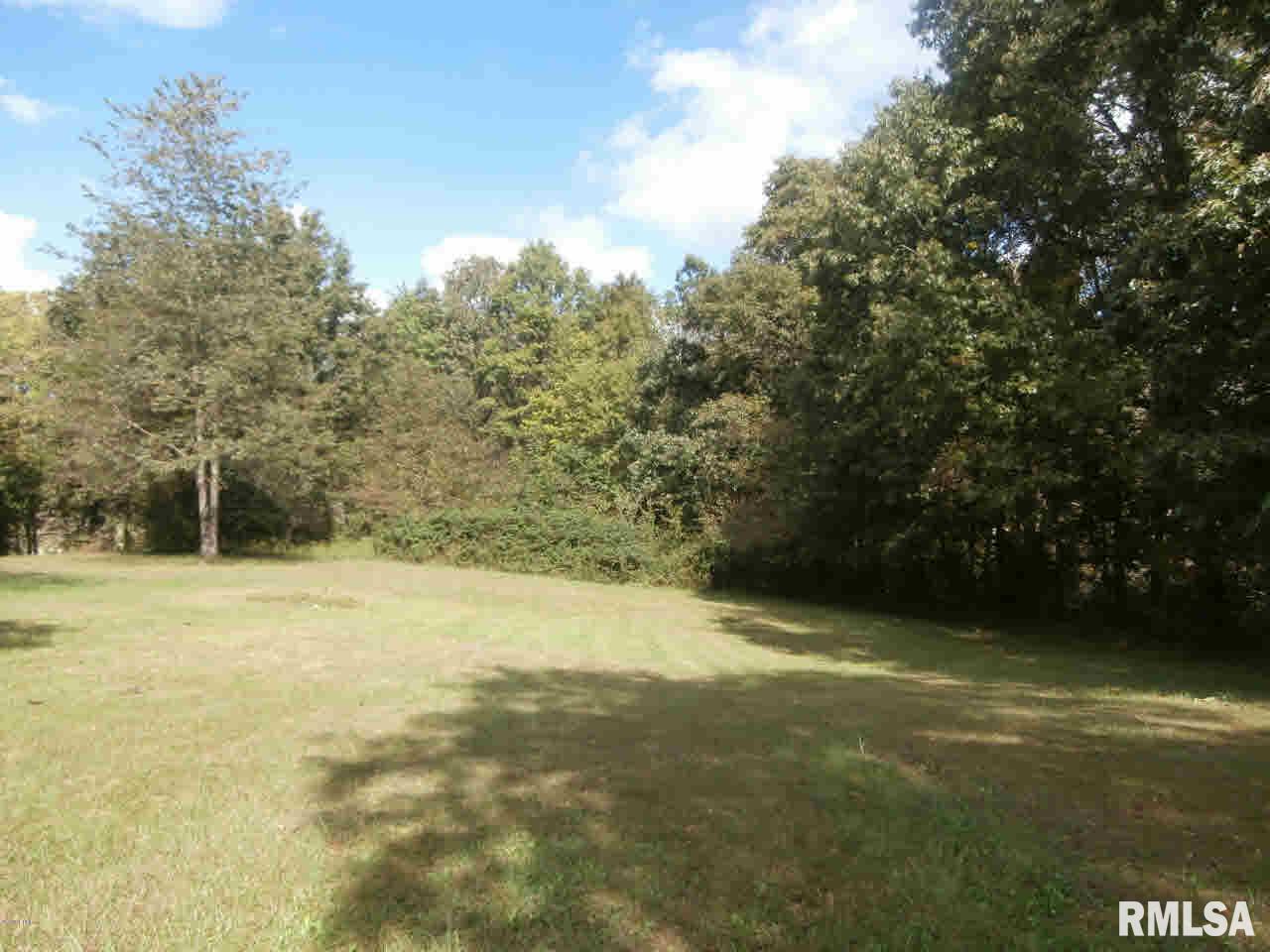 11669 Spowart Road West Frankfort, IL 62896 - Photo 4 of 36 Gallery Image 4