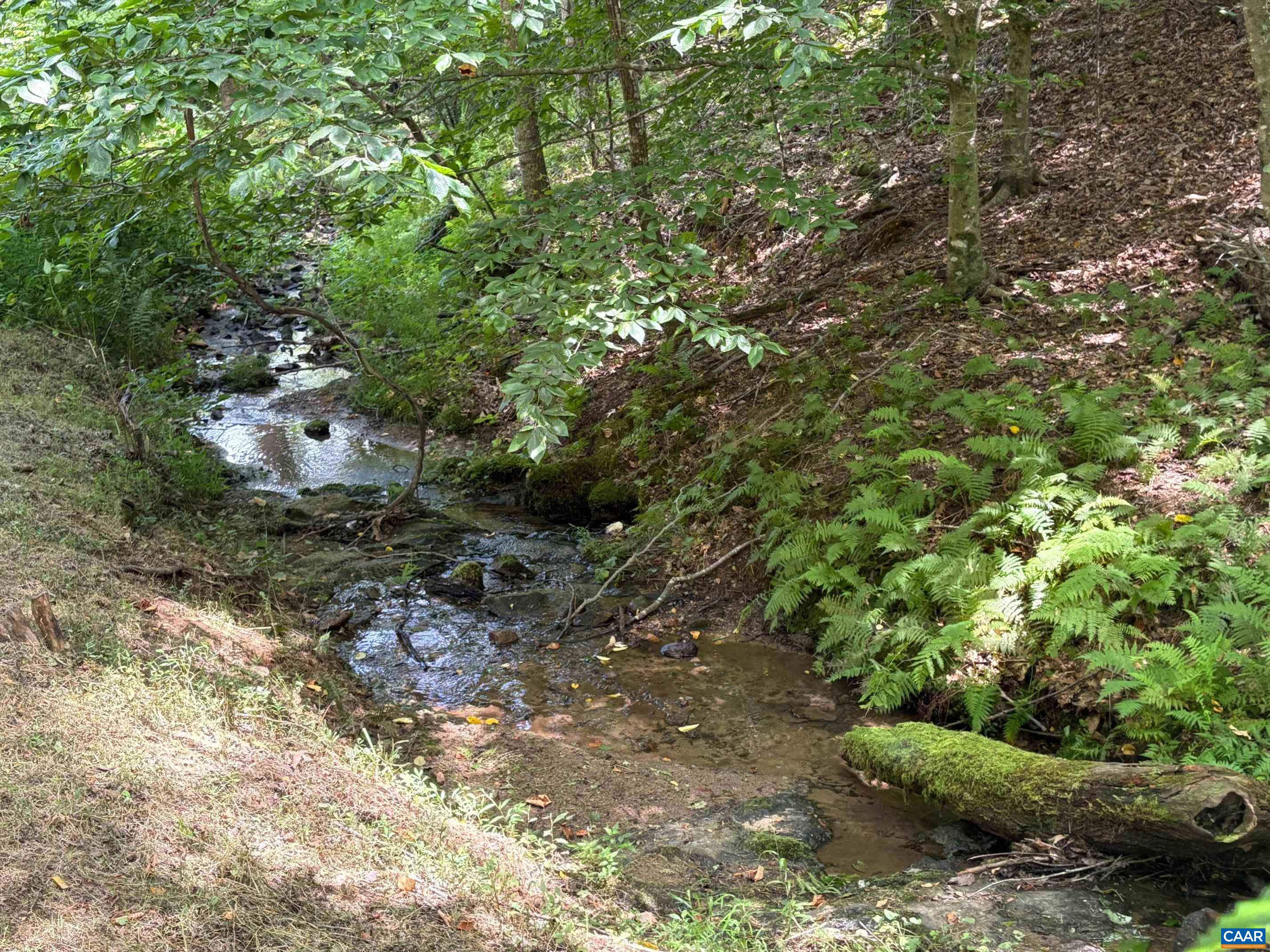 Stream