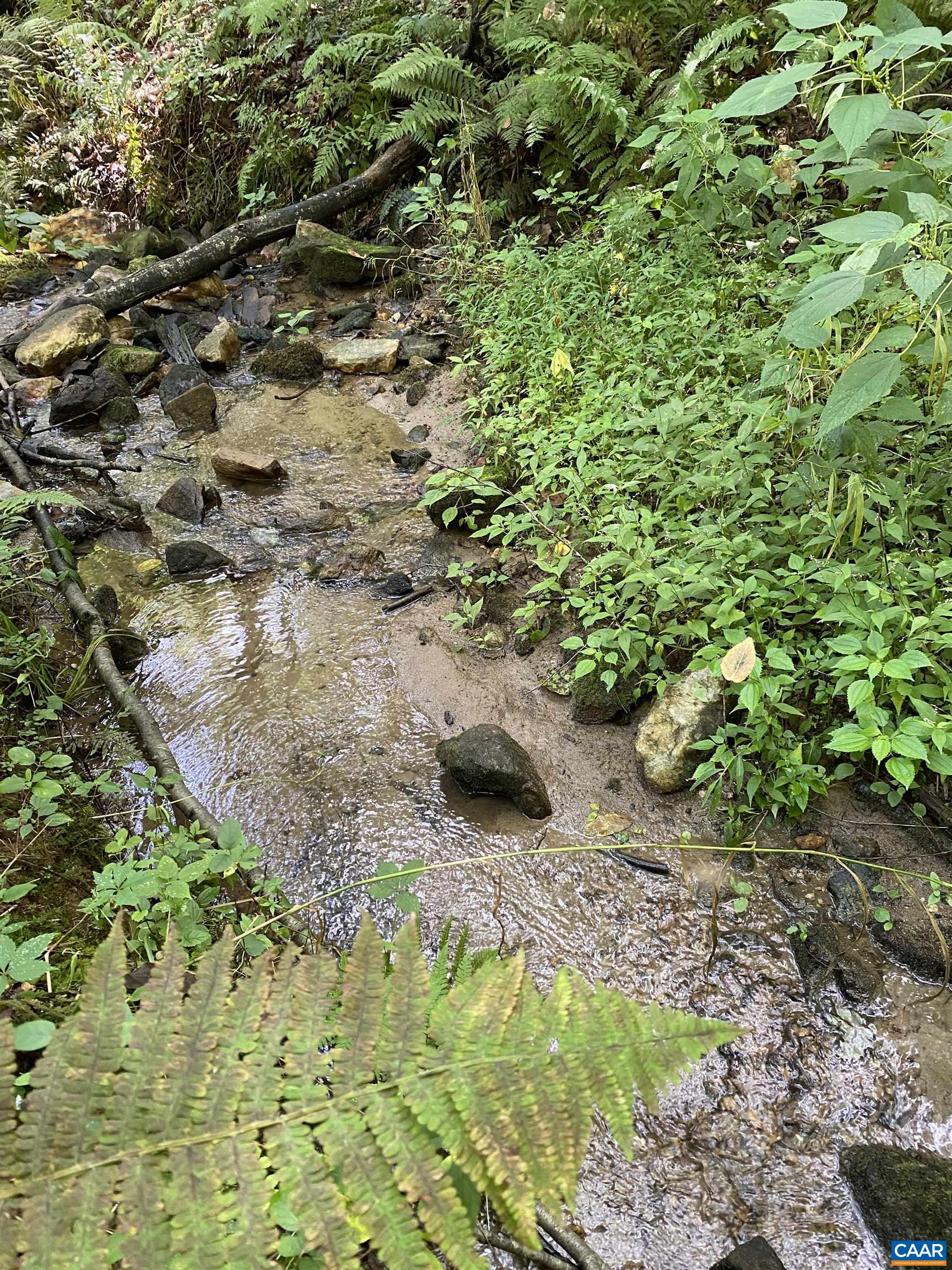 3047 Whippoorwill Road Madison, VA 22727 - Photo 8 of 13 Stream