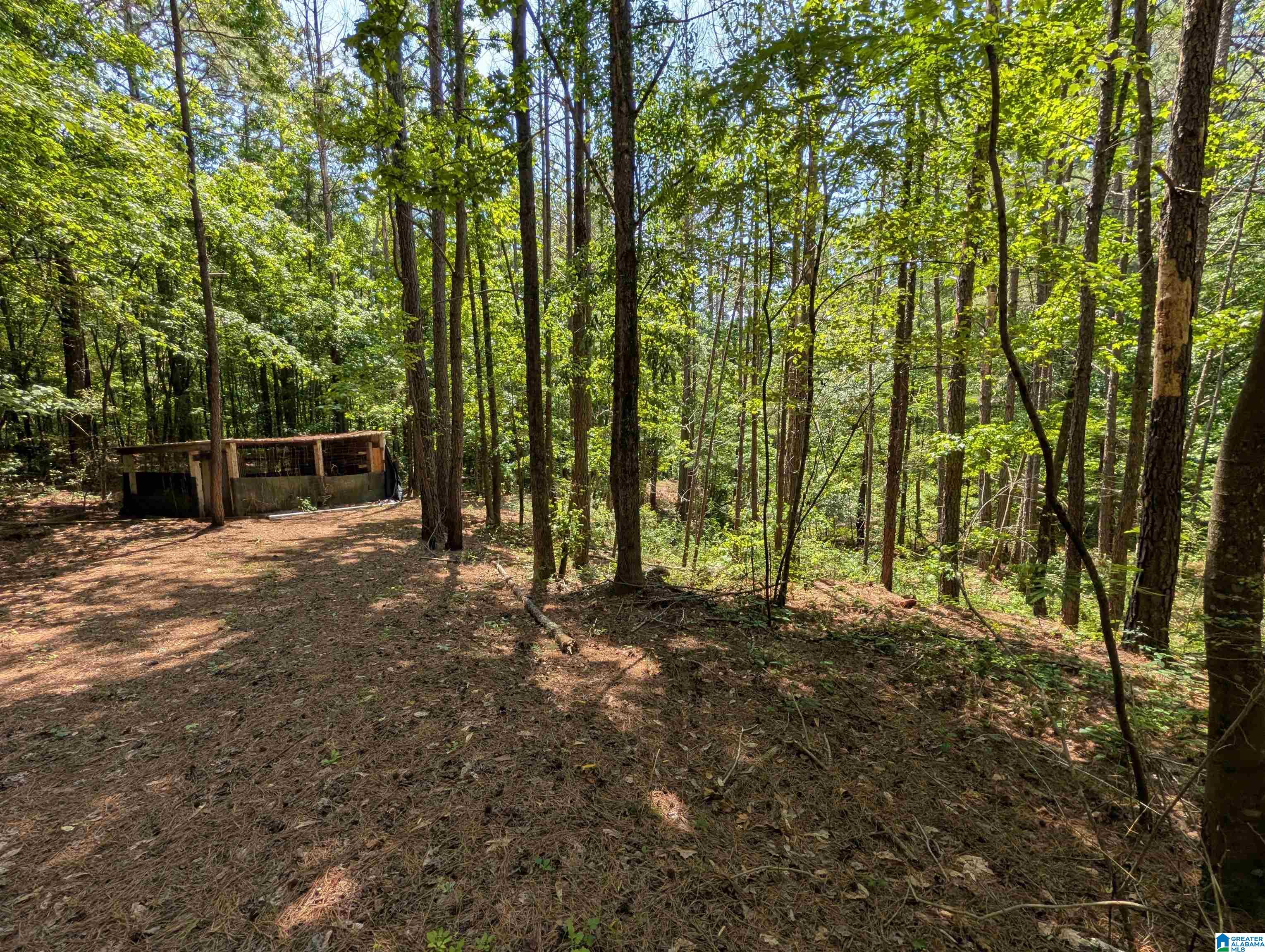 4561 Cook Springs Road Pell City, AL 35125 - Photo 20 of 20
