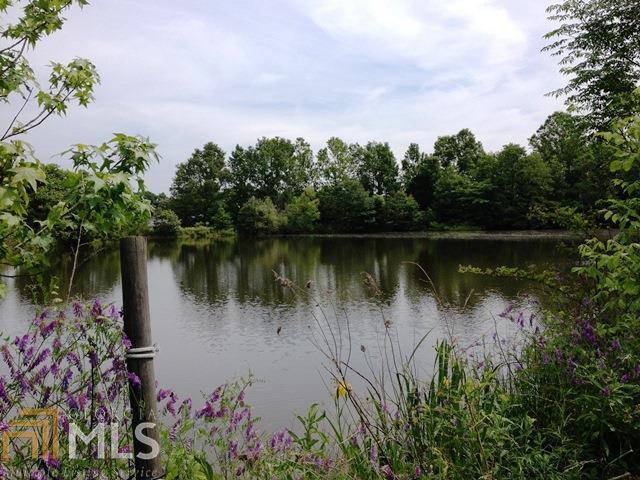 344 New Hope Church Road Comer, GA 30629 - Photo 1 of 1 a view of a lake with a garden