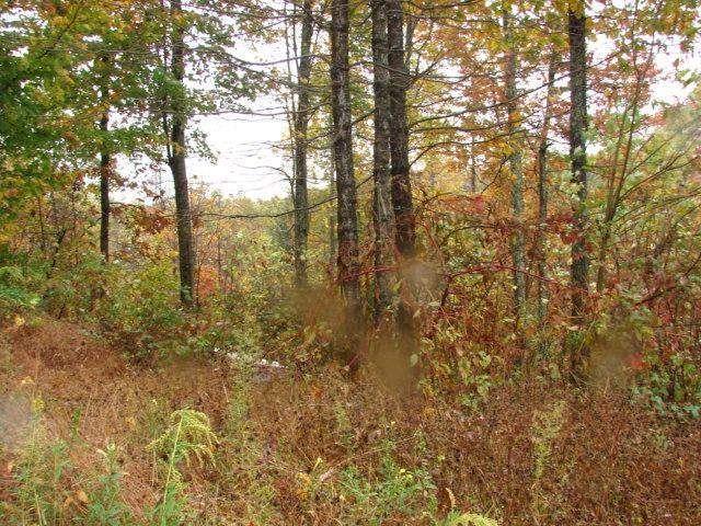 740 Mabry Ridge Road Morehead, KY 40351 - Photo 11 of 13 Photo 11