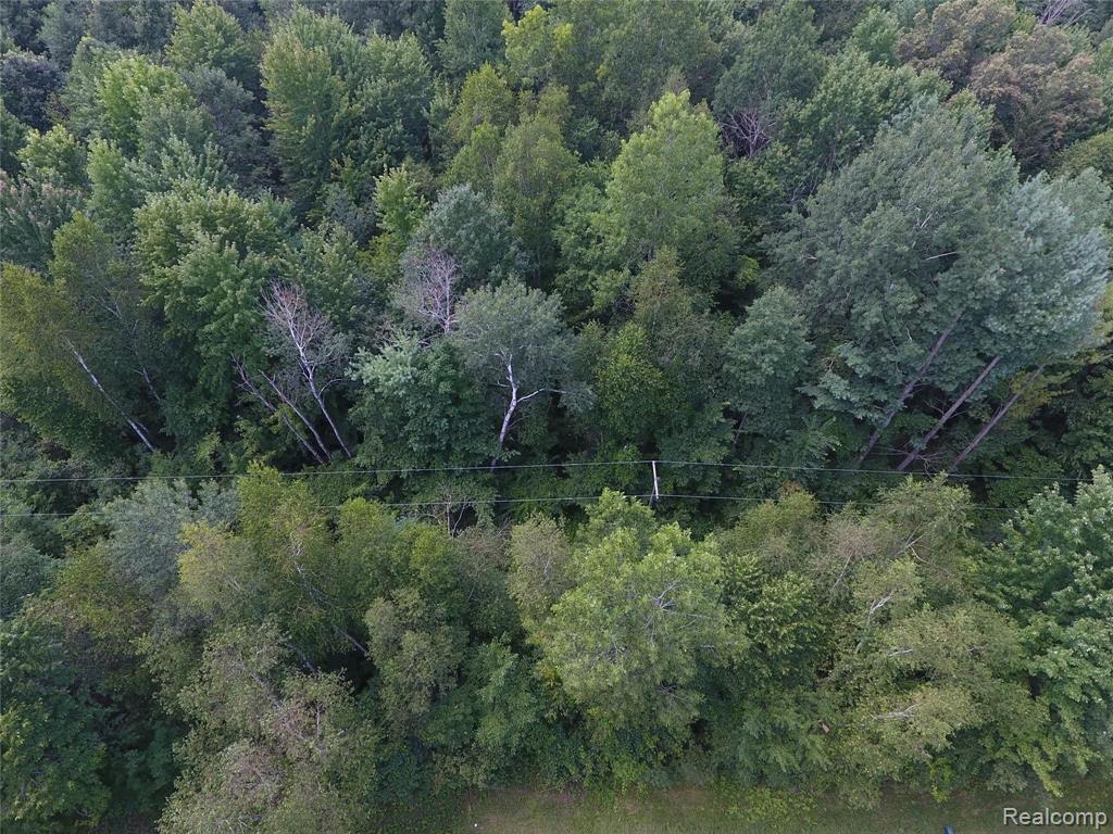 Five 5 Lakes Road North Branch, MI 48461 - Photo 3 of 12