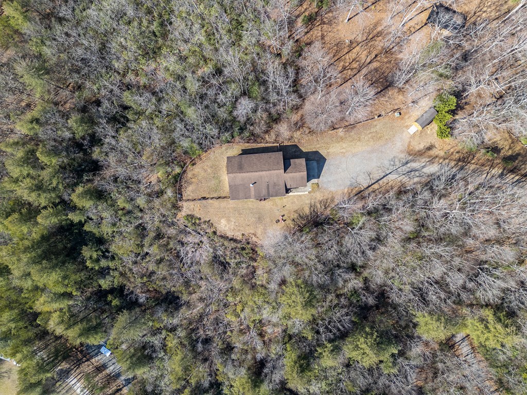 2923 Upper Peachtree Road Murphy, NC 28906 - Photo 46 of 49