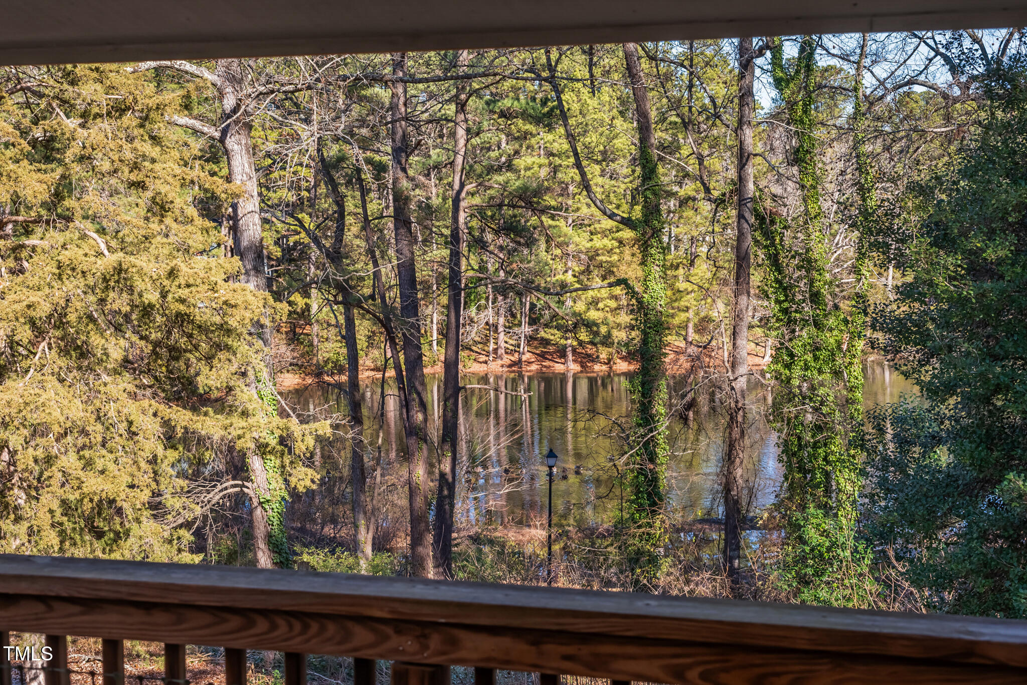 5084 Flint Ridge Place Raleigh, NC 27609 - Photo 20 of 23 a view of trees and small from a window