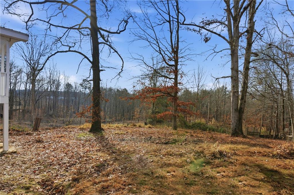 1780 Wynn Lake Road Alto, GA 30510 - Photo 26 of 30 a backyard of a house with lots of trees