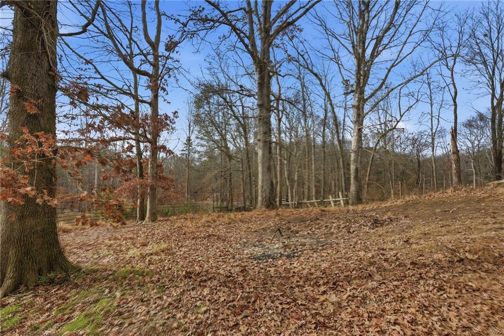 1780 Wynn Lake Road Alto, GA 30510 - Photo 28 of 30 a backyard of a house with large trees