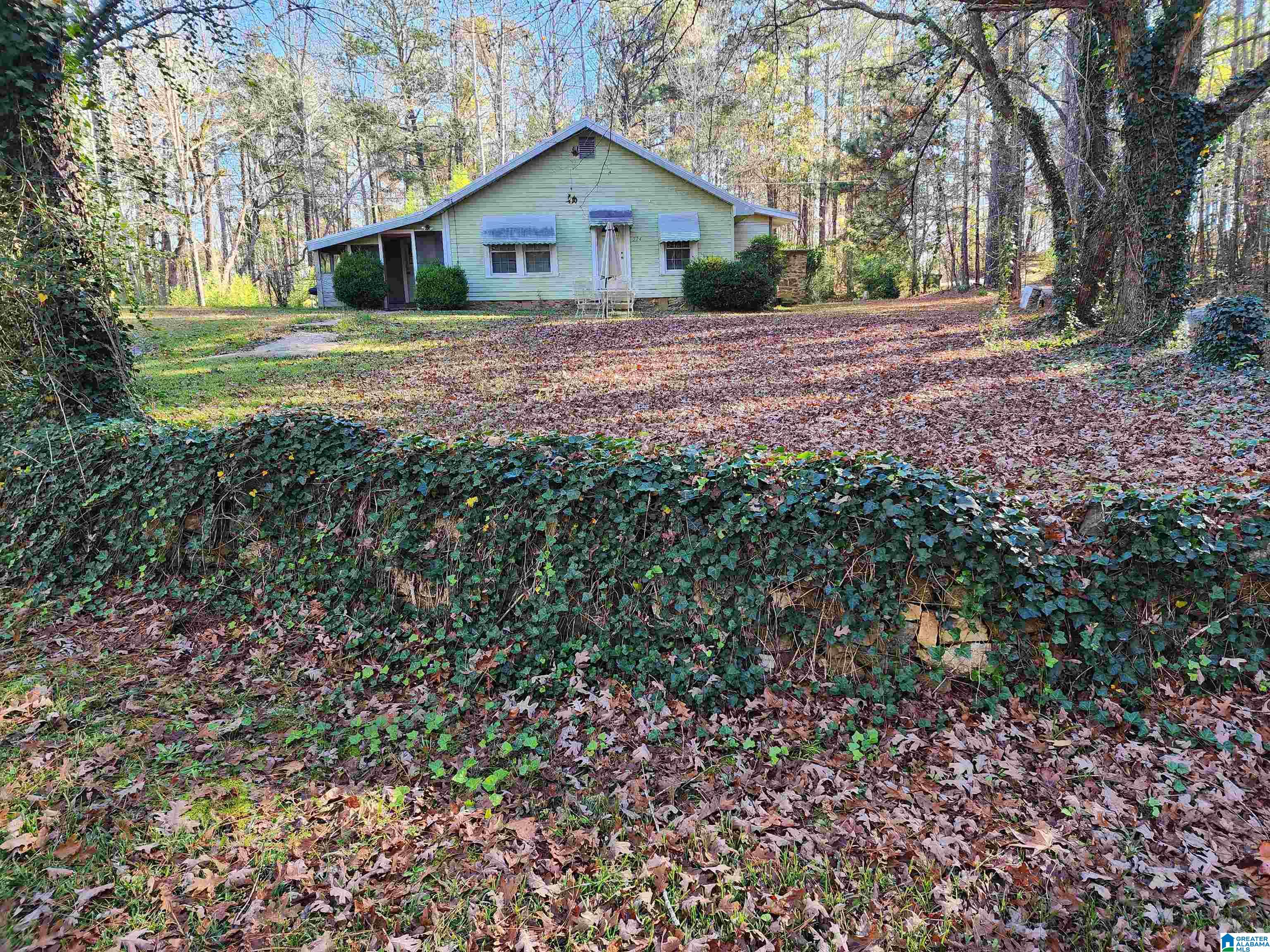 524 Raccoon Trail Goodwater, AL 35072 - Photo 1 of 21