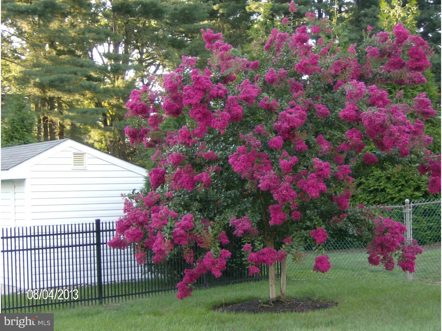 9 Robin Road Moorestown, NJ 08057 - Photo 19 of 21 Side Yard