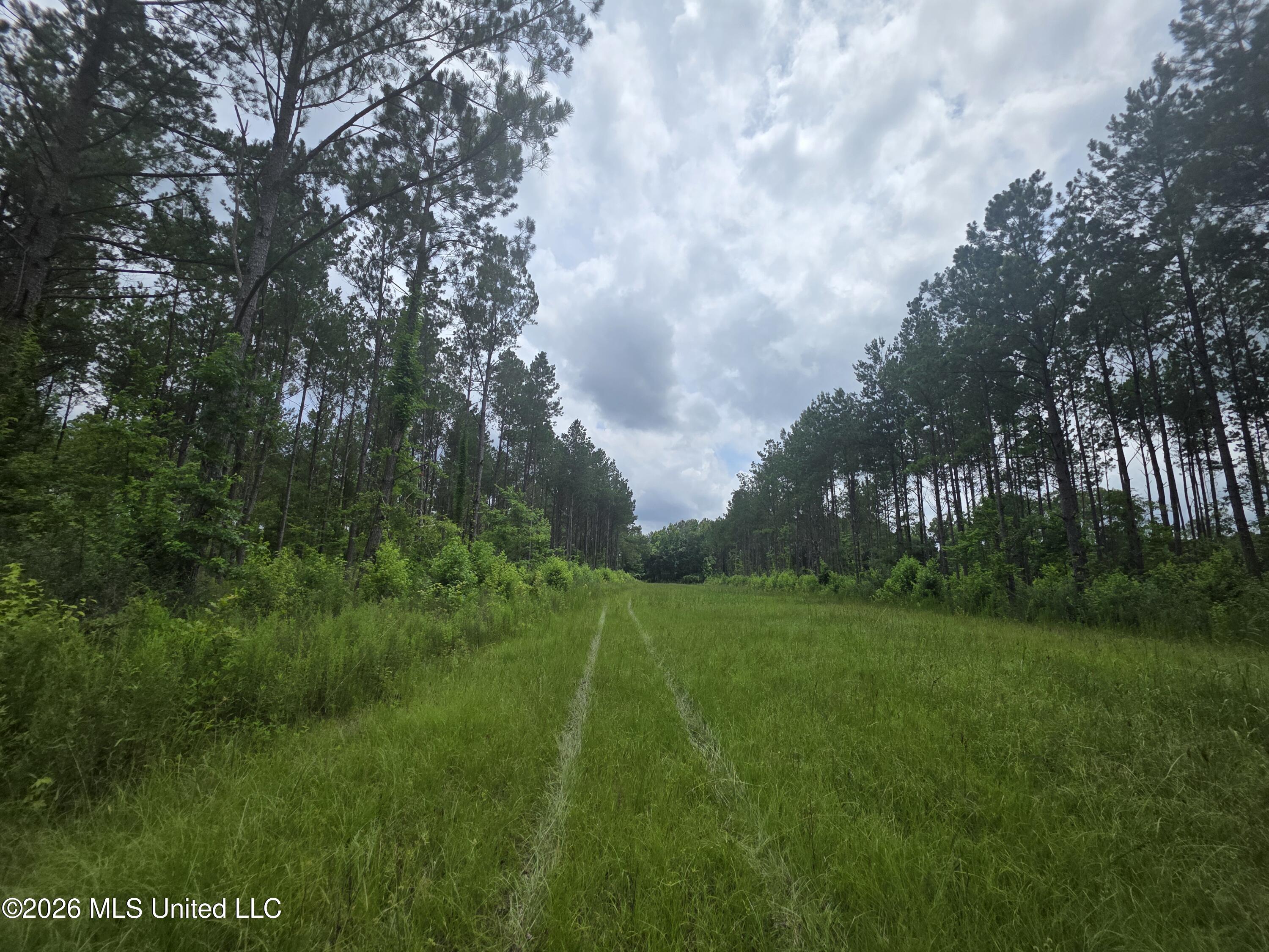244 Foster Road Sontag, MS 39665 - Photo 51 of 105 35575
