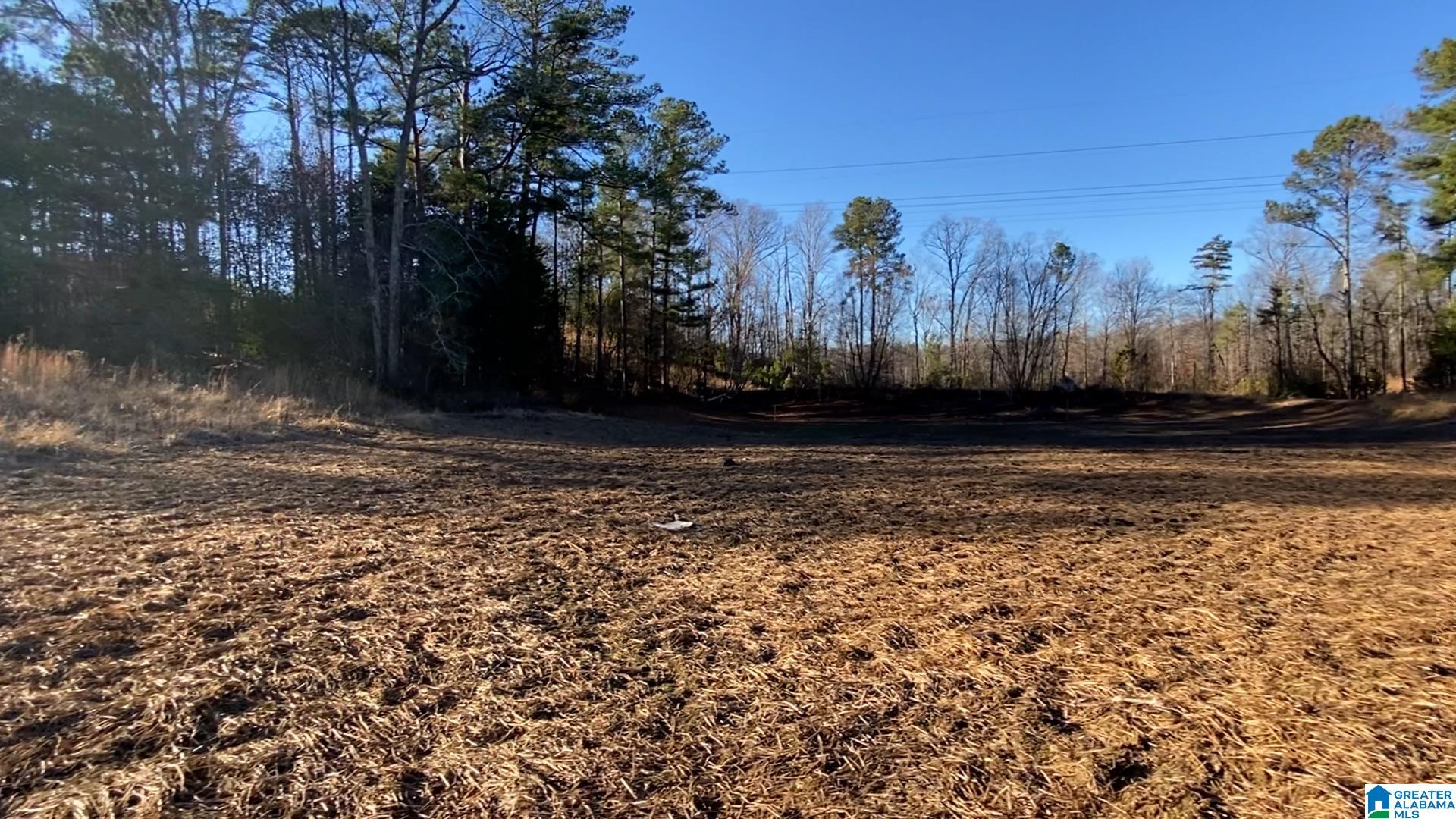 0 Highway 132, Unit 7 82 / ACRES Oneonta, AL 35121 - Photo 9 of 9