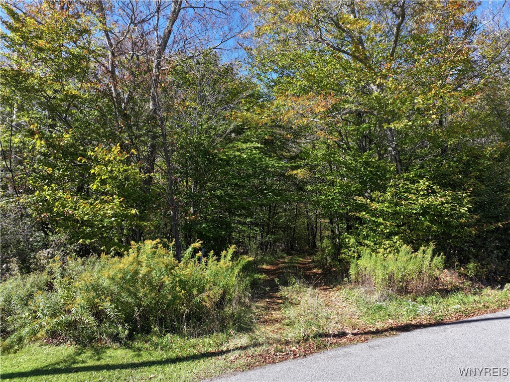 0 Ridge Road Hamden, NY 13782 - Photo 12 of 26