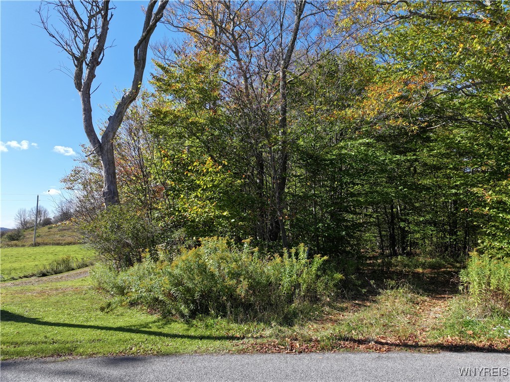 0 Ridge Road Hamden, NY 13782 - Photo 13 of 26