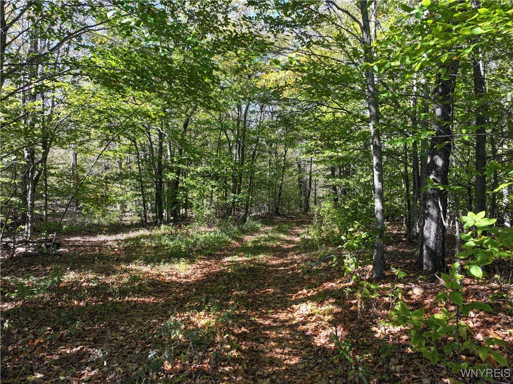 0 Ridge Road Hamden, NY 13782 - Photo 14 of 26