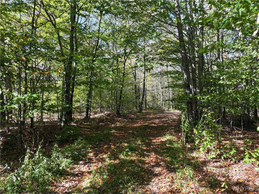 0 Ridge Road Hamden, NY 13782 - Photo 15 of 26