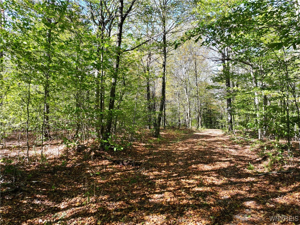 0 Ridge Road Hamden, NY 13782 - Photo 16 of 26