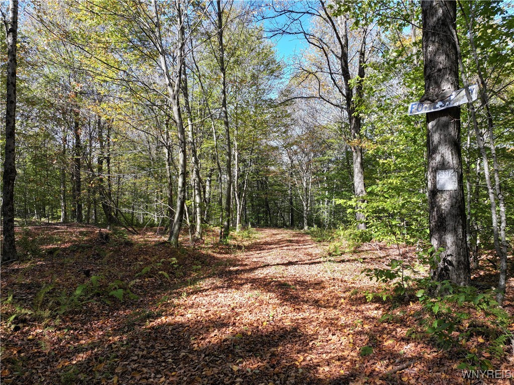 0 Ridge Road Hamden, NY 13782 - Photo 17 of 26