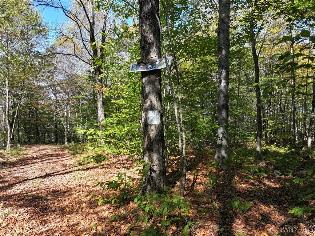 0 Ridge Road Hamden, NY 13782 - Photo 18 of 26