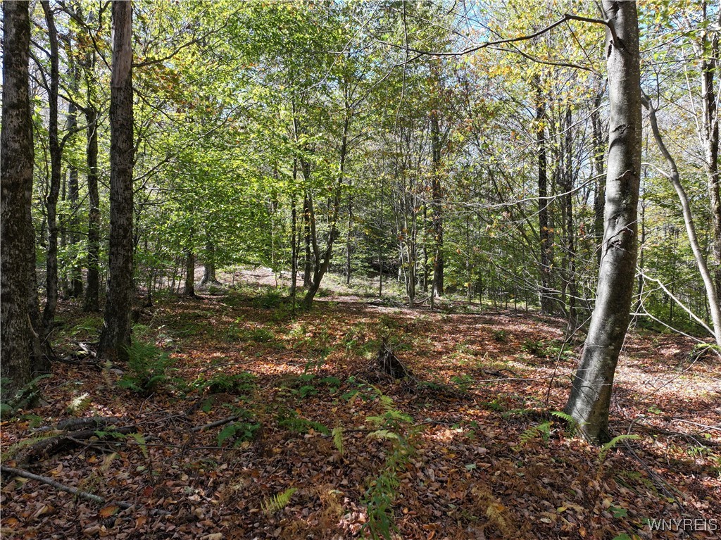 0 Ridge Road Hamden, NY 13782 - Photo 19 of 26