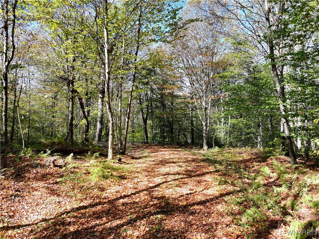 0 Ridge Road Hamden, NY 13782 - Photo 20 of 26