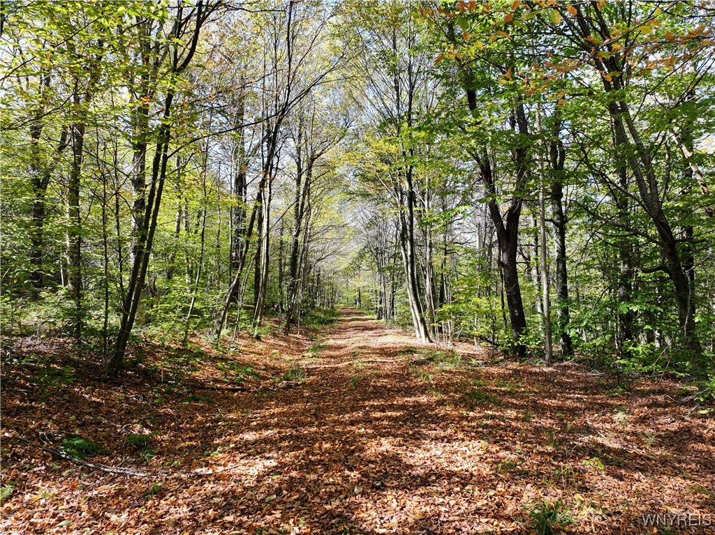 0 Ridge Road Hamden, NY 13782 - Photo 21 of 26