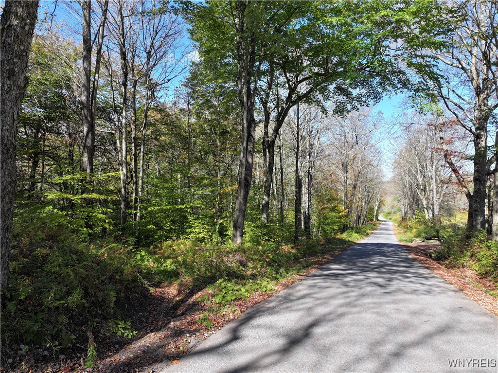 0 Ridge Road Hamden, NY 13782 - Photo 23 of 26