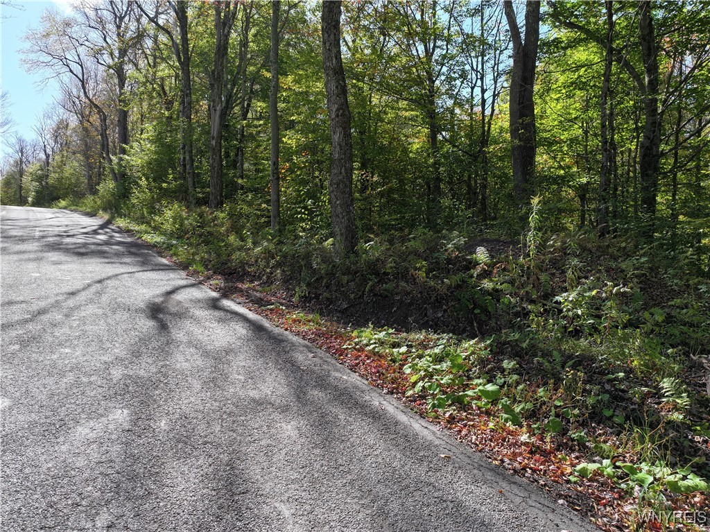 0 Ridge Road Hamden, NY 13782 - Photo 24 of 26