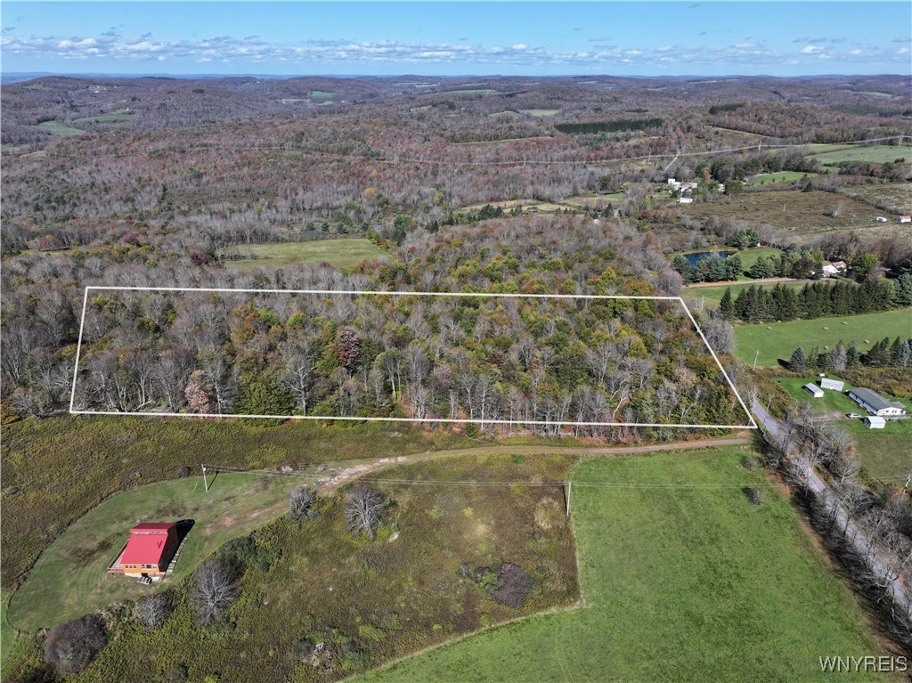 0 Ridge Road Hamden, NY 13782 - Photo 3 of 26