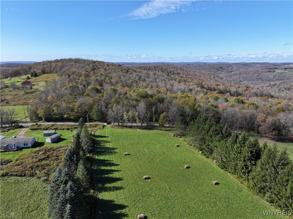 0 Ridge Road Hamden, NY 13782 - Photo 4 of 26