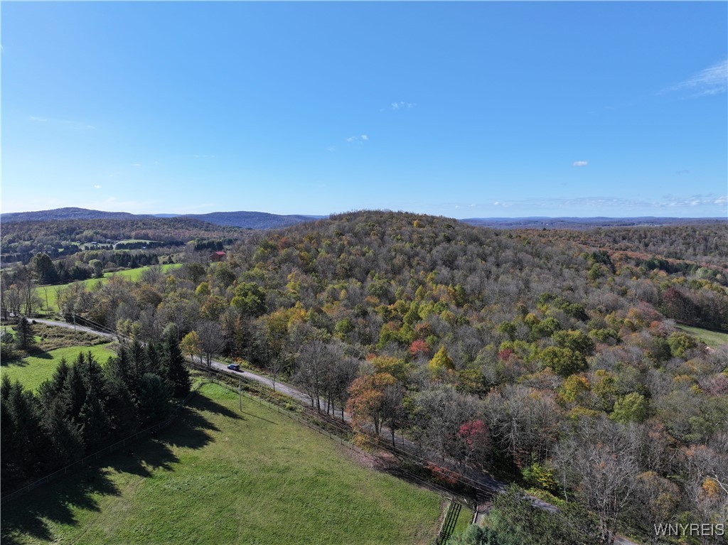 0 Ridge Road Hamden, NY 13782 - Photo 5 of 26