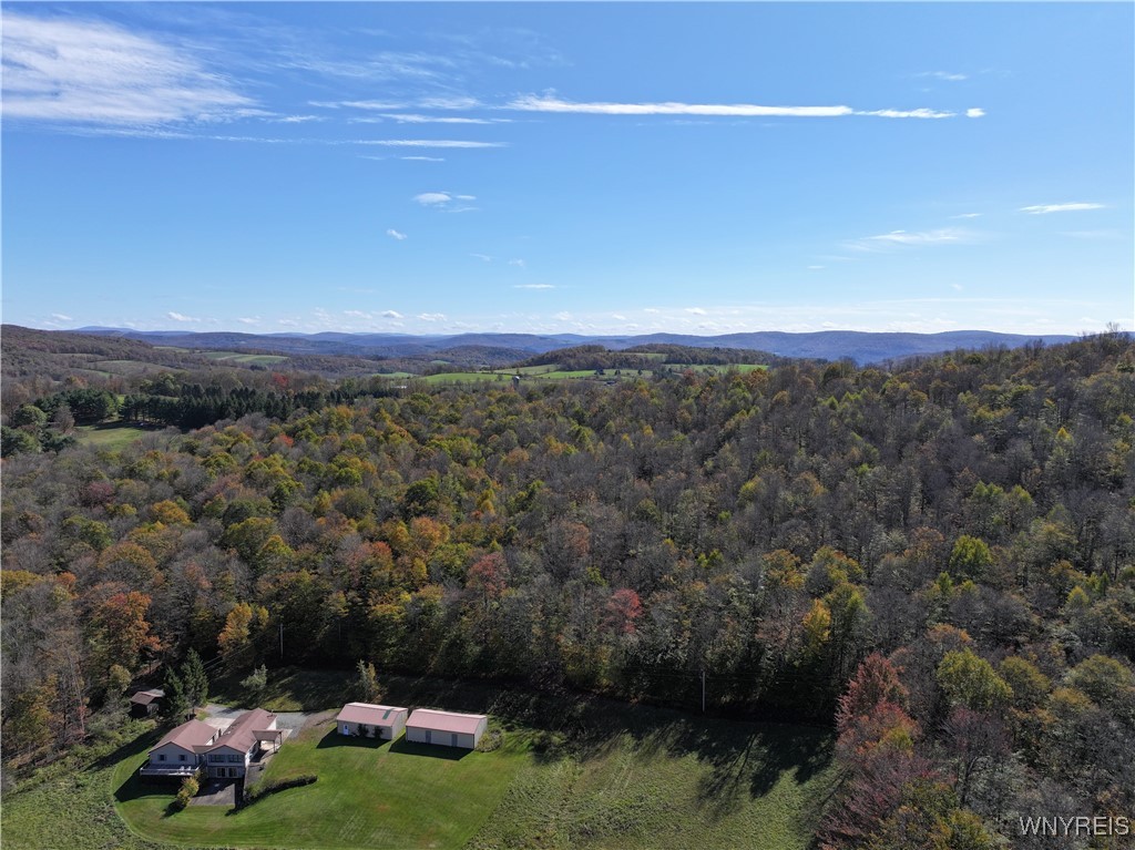 0 Ridge Road Hamden, NY 13782 - Photo 6 of 26