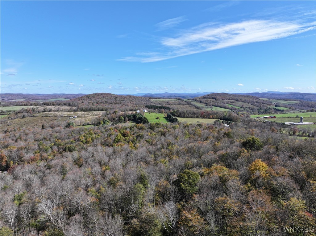 0 Ridge Road Hamden, NY 13782 - Photo 7 of 26