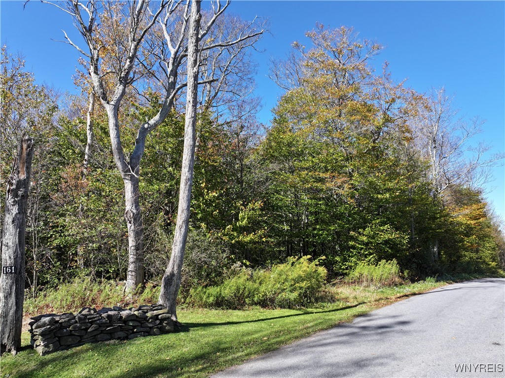 0 Ridge Road Hamden, NY 13782 - Photo 9 of 26