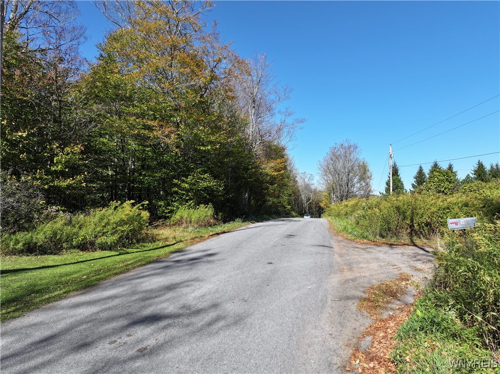 0 Ridge Road Hamden, NY 13782 - Photo 10 of 26