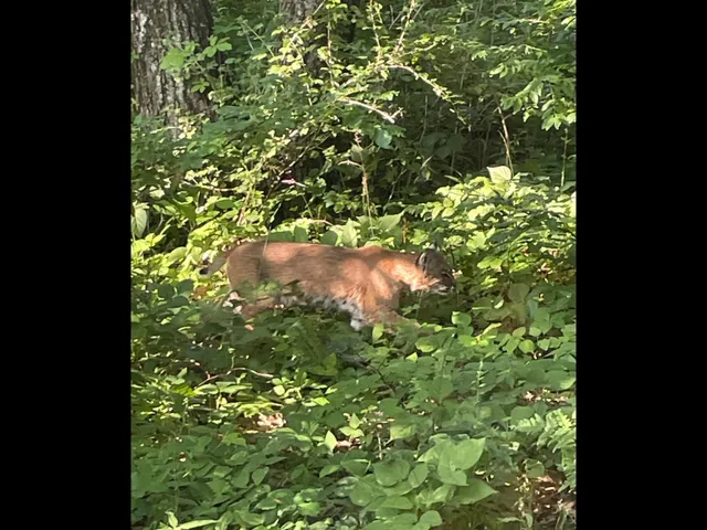 $130,000 | Tbd Brown Lane, Pepin, WI 54759