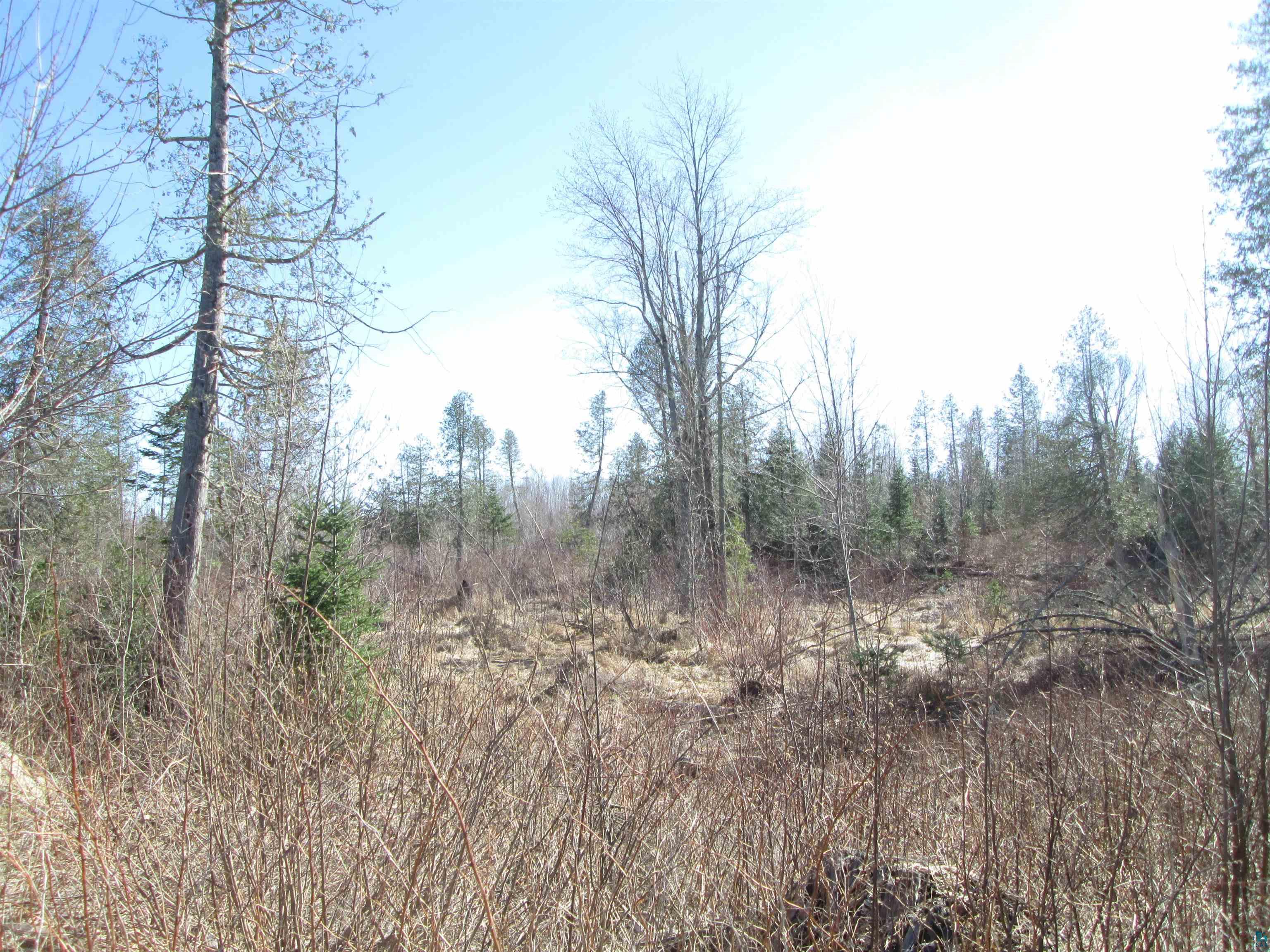 Lot 2-40 Acres County Road South Range, WI 54874 - Photo 30 of 39 Gallery Image 30