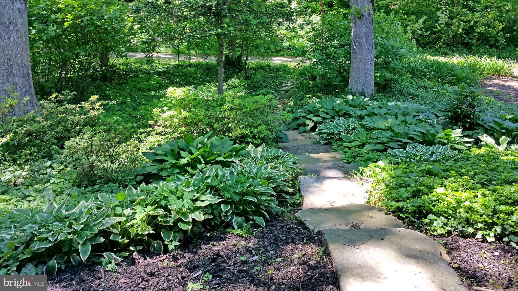 1622 Greenbriar Court Reston, VA 20190 - Photo 23 of 30 Backyard with stone walk to community path