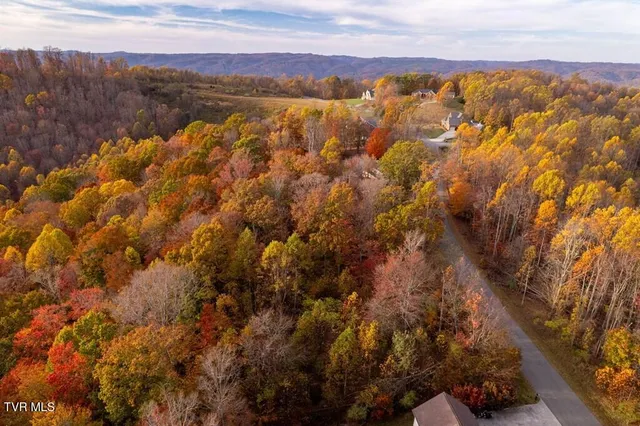 $25,000 | Tbd Airport Road, Cedar Bluff, VA 24609