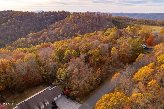 $25,000 | Tbd Airport Road, Cedar Bluff, VA 24609