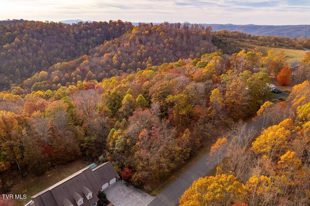 Tbd Airport Road Cedar Bluff, VA 24609 - Photo 2 of 8 80639_6