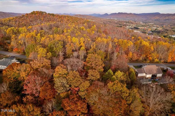 $25,000 | Tbd Airport Road, Cedar Bluff, VA 24609
