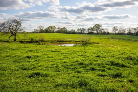 $825,000 | 501 Burnt Hill Road, Unionville, TN 37180