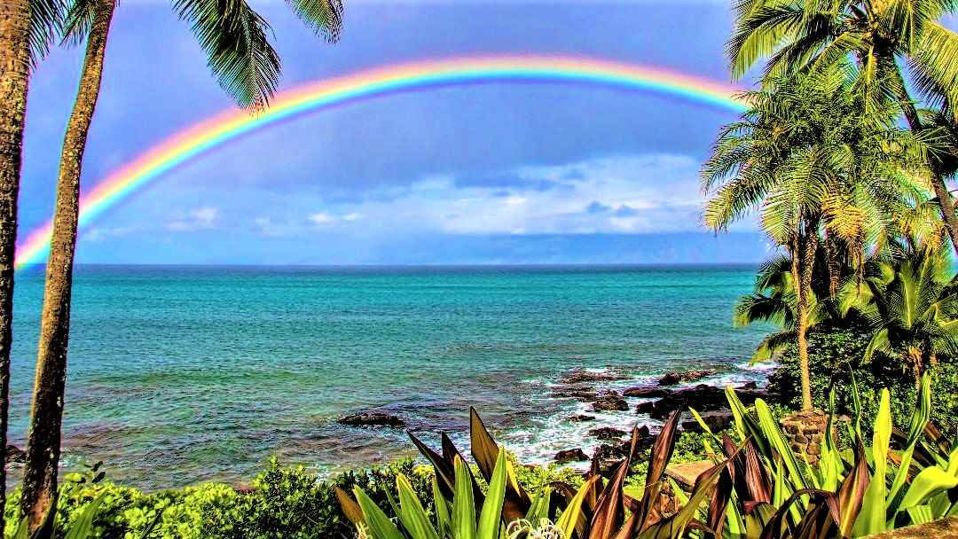 a view of a yard with a house